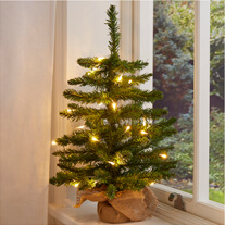 Shop Christmas Decor